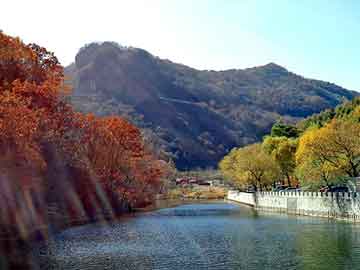 新澳门二四六天天开奖，油田油井试压泵